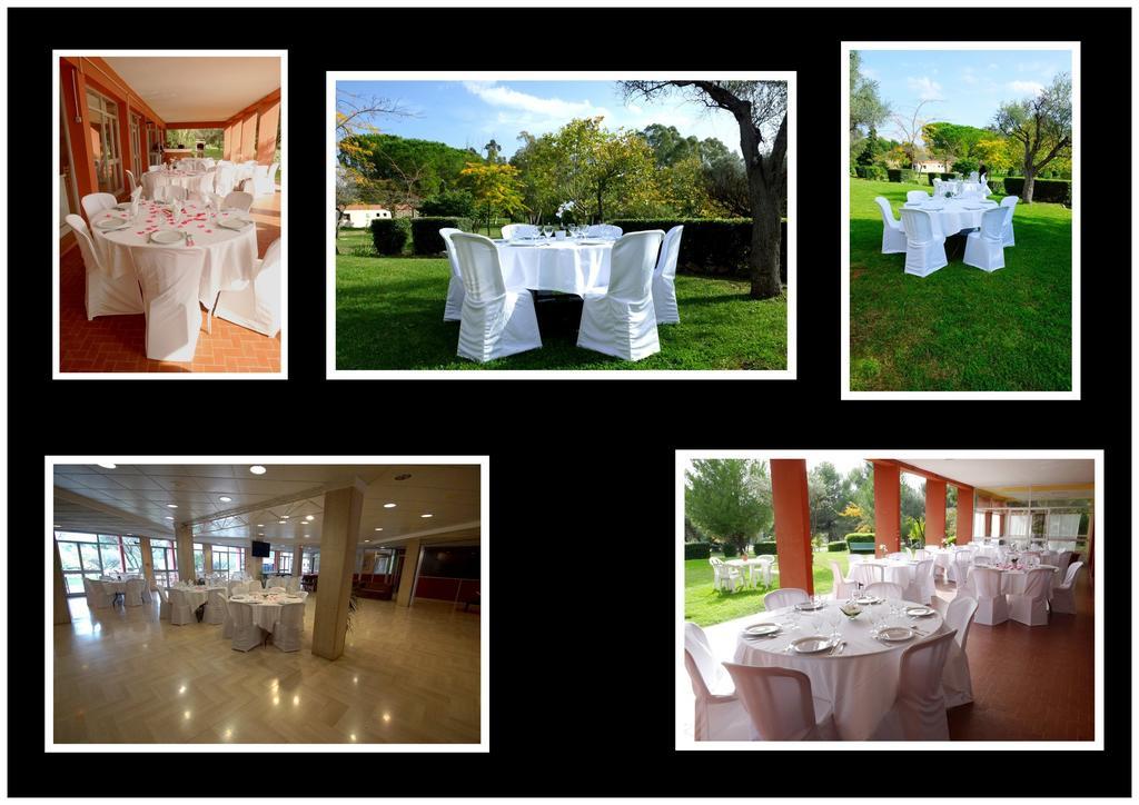 Apartament Le Domaine Des Oliviers Saint-Cyr-sur-Mer Zewnętrze zdjęcie
