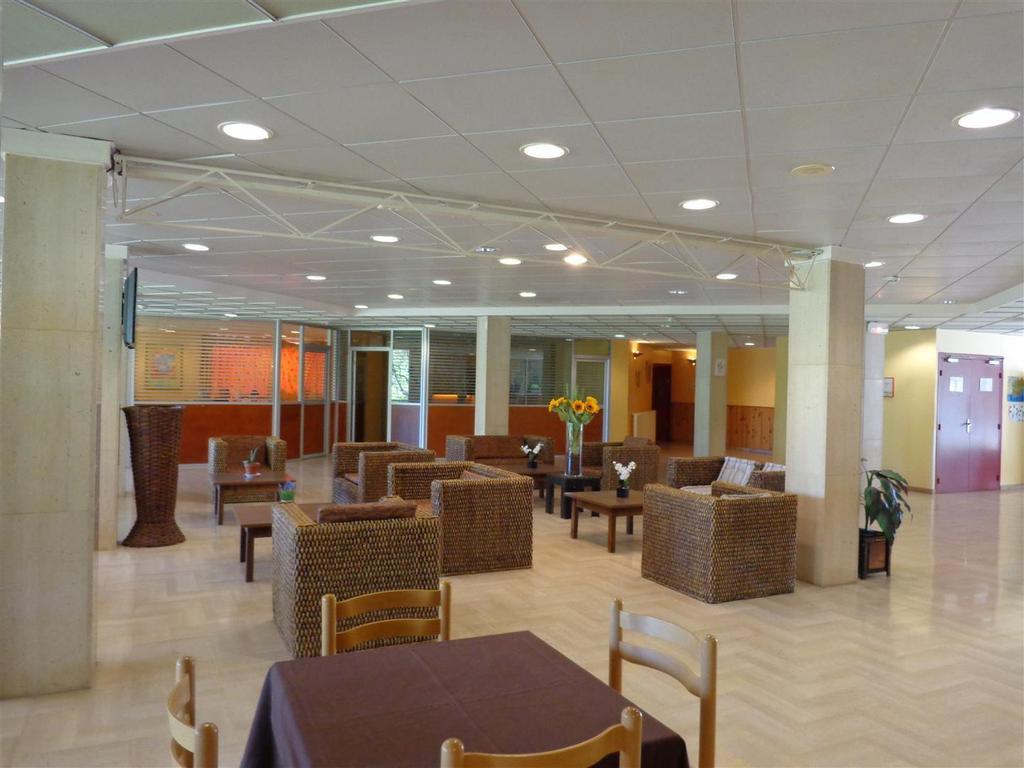 Apartament Le Domaine Des Oliviers Saint-Cyr-sur-Mer Zewnętrze zdjęcie