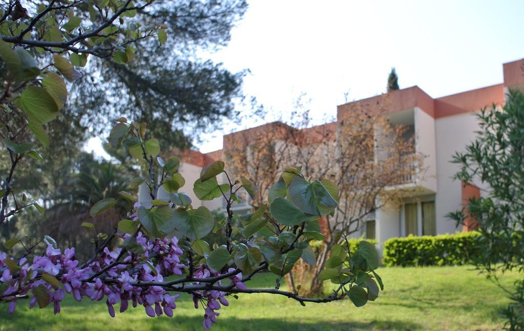 Apartament Le Domaine Des Oliviers Saint-Cyr-sur-Mer Zewnętrze zdjęcie