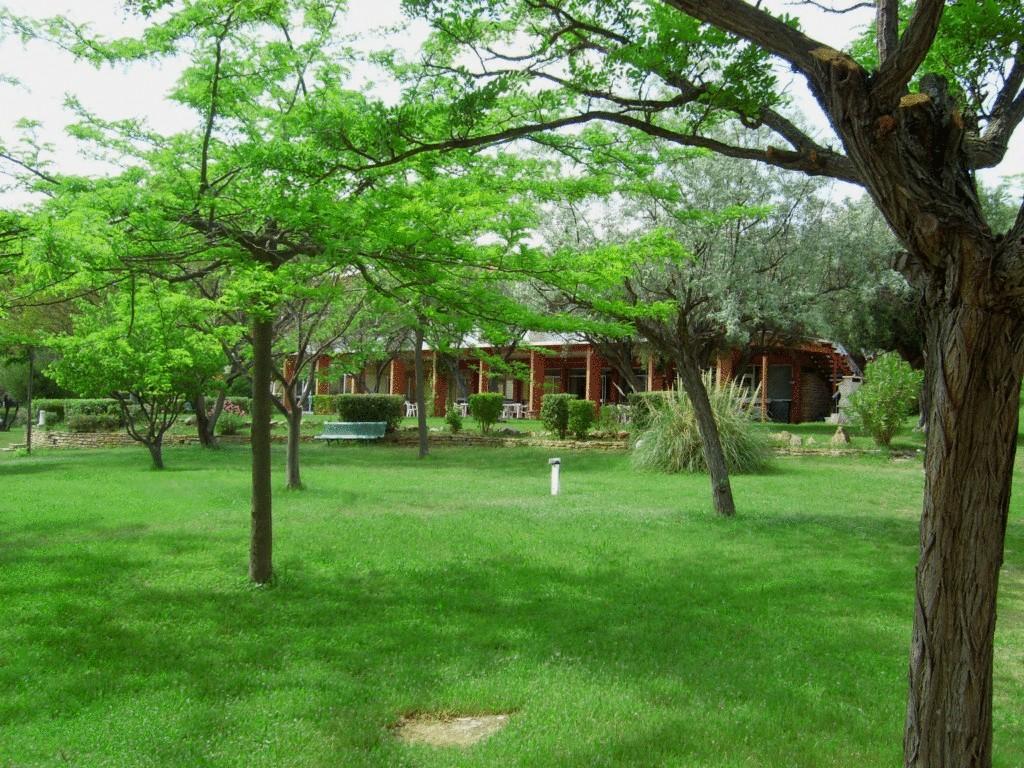 Apartament Le Domaine Des Oliviers Saint-Cyr-sur-Mer Zewnętrze zdjęcie